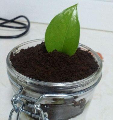 用酸奶瓶DIY绿植盆栽（简单易做的环保DIY）
