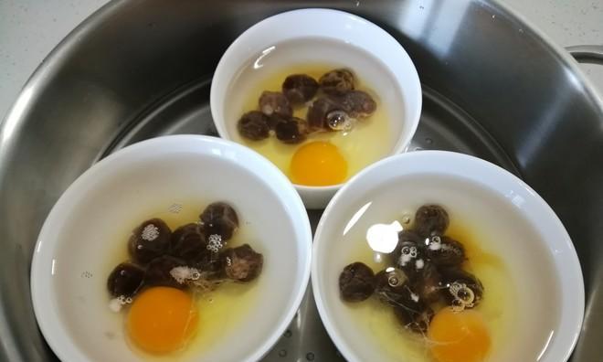 健康营养的鸡蛋料理——水炖蛋（鸡蛋料理的美味与健康）
