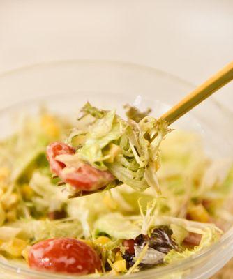 双色蝴蝶结沙拉——健康美味的餐桌新宠（美味与美丽并存）