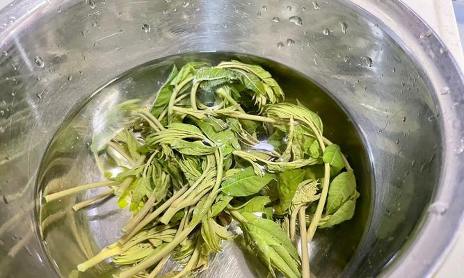 香椿芽炒蛋，营养美味的家常菜（家庭厨房的简单做法及菜品特点介绍）