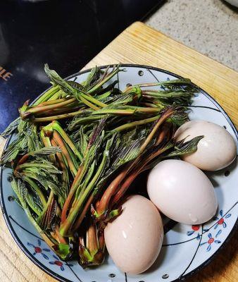 香椿炒蛋的美食探秘（挖掘美味的家常菜肴）