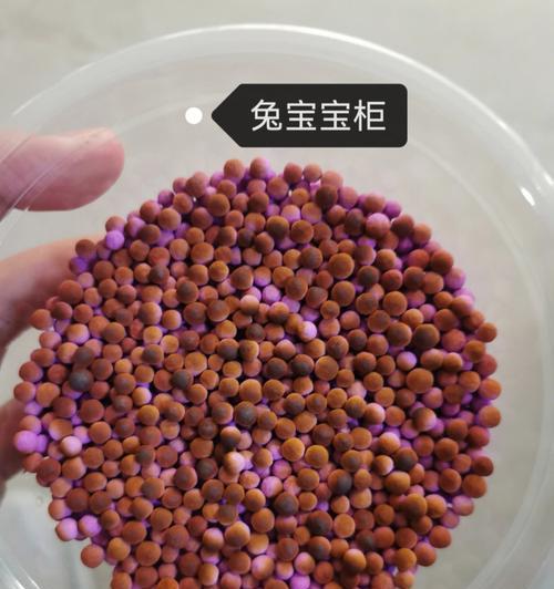 土豆兔宝宝——萌趣十足的美食艺术品（用土豆做出可爱的兔宝宝）