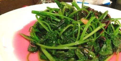 清炒野菜，打造健康饮食（从采摘到上桌）